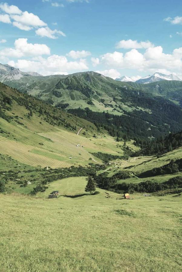 Ferienhaus Bergler Hoamat Navis Dış mekan fotoğraf