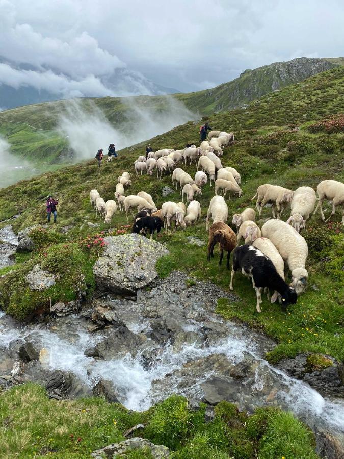 Ferienhaus Bergler Hoamat Navis Dış mekan fotoğraf