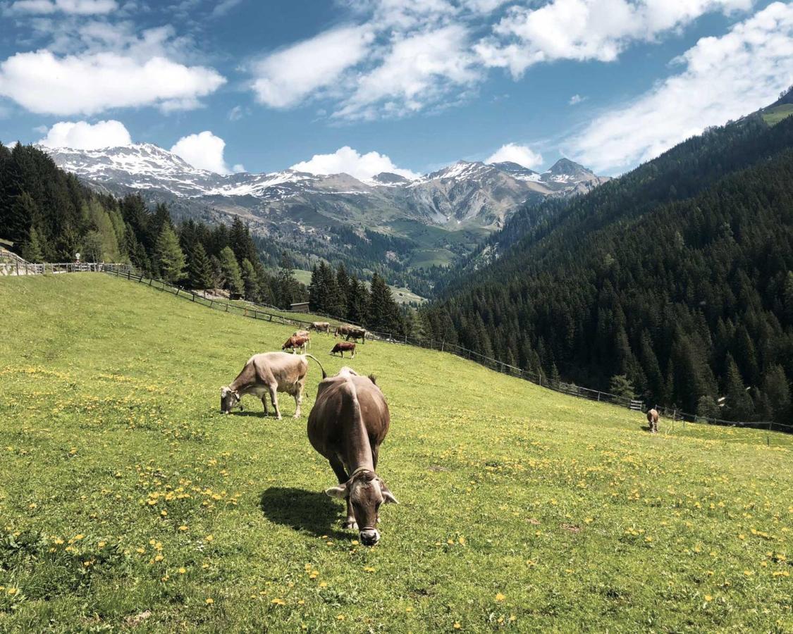 Ferienhaus Bergler Hoamat Navis Dış mekan fotoğraf